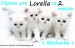 Lorella_Bleskovka_1.jpg