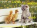 Lorella_SONM_5.jpg