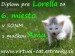 Lorella_SONM_6.jpg